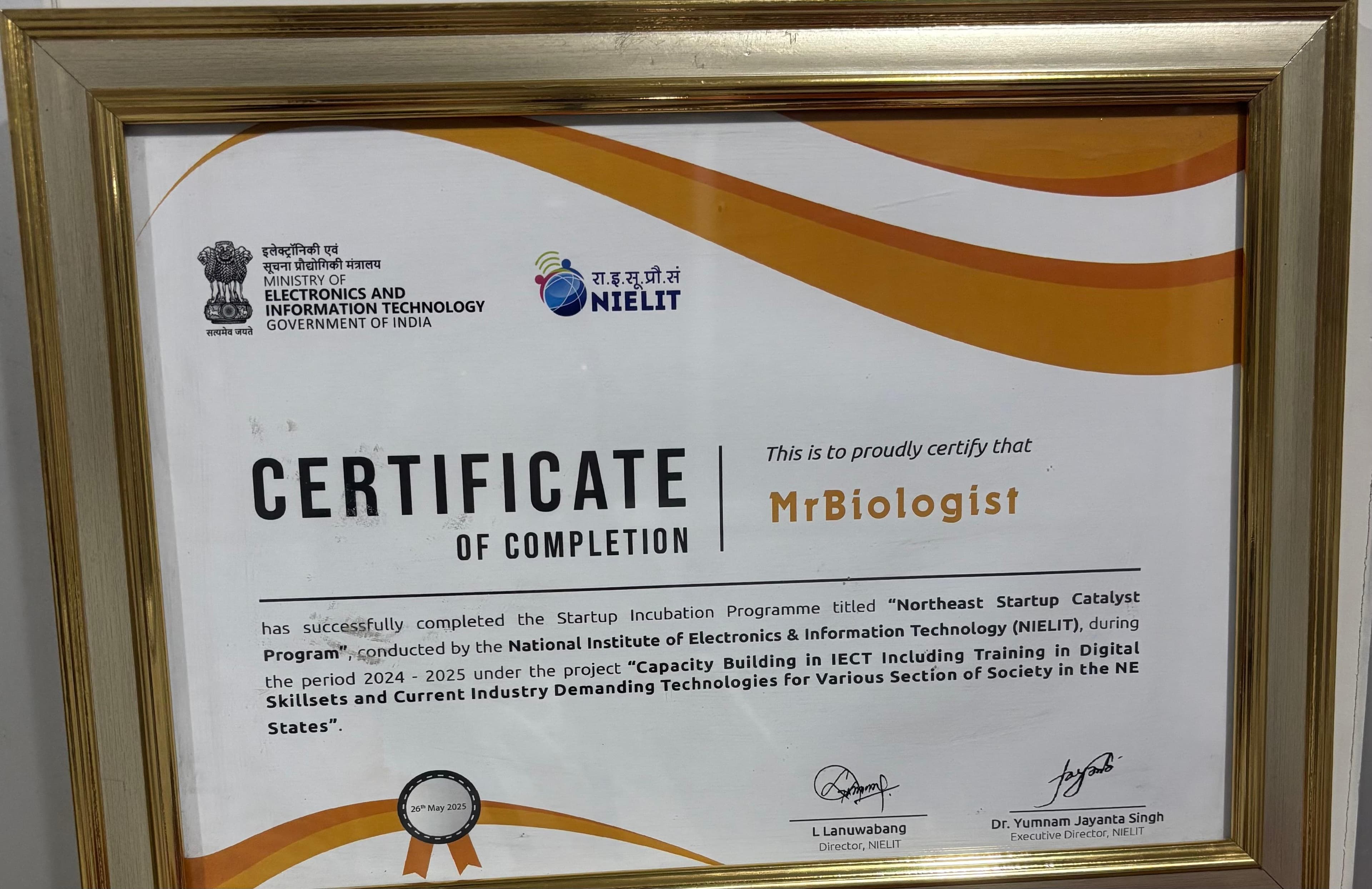 Research Excellence Award